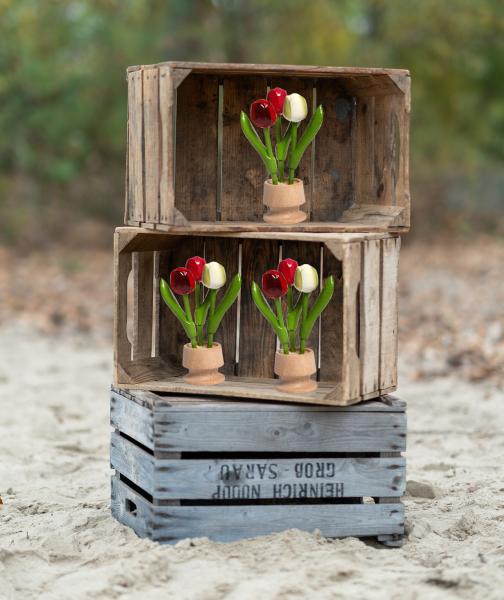 Set of 3, 3 wooden tulips in a wooden jug red and white, each 15.5 cm high hand-painted, table decoration, wooden flowers, Made in Holland